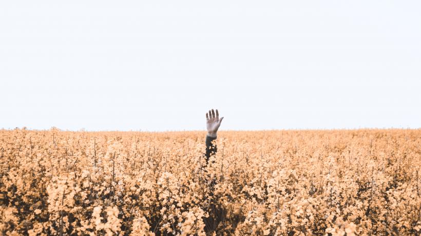 Hol dir Hilfe vom Experten, denn beim Thema Steuern kannst du schnell den Überblick verlieren Hol dir Hilfe vom Experten, denn beim Thema Steuern kannst du schnell den Überblick verlieren