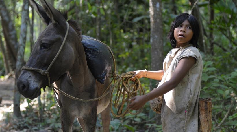 Rund 3% der Gesamtbevölkerung Kolumbiens gehören verschiedenen indigenen Gemeinschaften an. (Foto: INTERCONTACT/Neptuno) Rund 3% der Gesamtbevölkerung Kolumbiens gehören verschiedenen indigenen Gemeinschaften an. (Foto: INTERCONTACT/Neptuno)