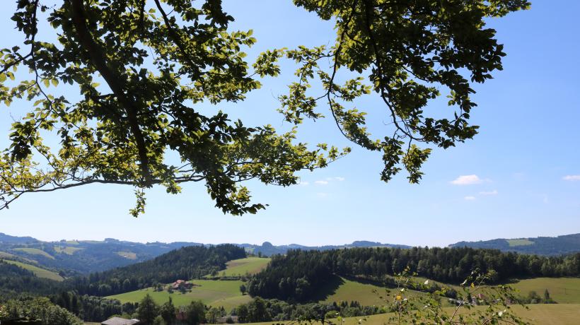 Wegen seiner Topografie wird die Landschaft im Südosten Niederösterreichs auch „Land der 1.000 Hügel“ genannt. (Foto: Ina Jungbluth)