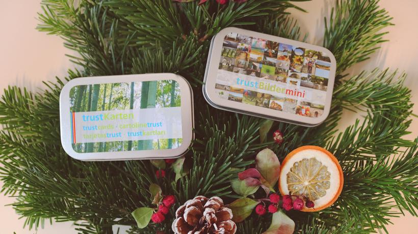 (Foto: Annika Overlander - Deutscher Psychologen Verlag) 2 Trust-ID Kartenboxen auf Tannenzweigen und Weihnachtsdeko