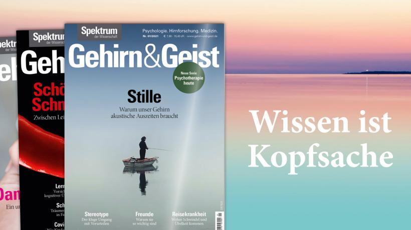 © Abbildung: Spektrum Verlag