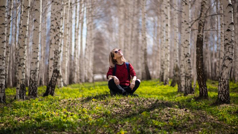Frau sitzt auf Waldboden zwischen Birken