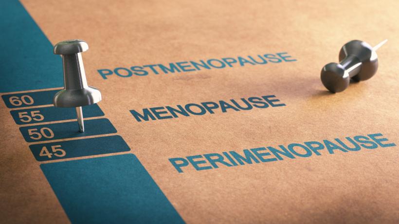 Zwei Stecknadeln auf einem Brett, auf das die Worte Postmenopause, Menopause und Perimenopause geschrieben stehen.