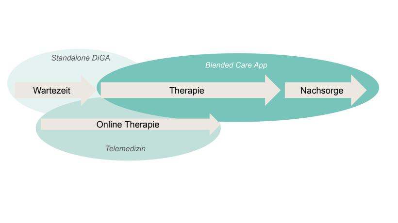 Ein Schema möglicher Strukturierungen von Präsenz-, Online- und Blended Therapy