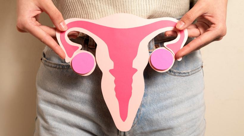 Foto: freepik.com Man sieht eine Darstellung der Vagina und Eierstöcke auf Pappe, die sich eine Frau vor den Unterleib hält.