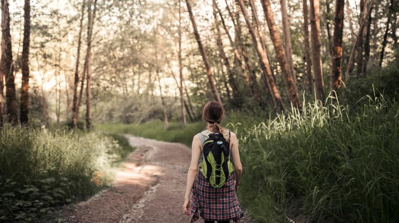 Man sieht eine Person von hinten, die durch einen sonnendurchfluteten Wald geht.