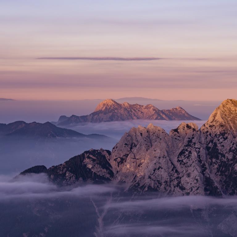 Ales-Crivec - Unsplash Ales-Crivec - Unsplash