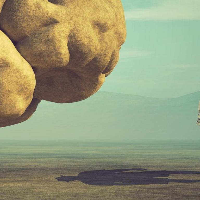 The young and conceptual image of a large stone in the shape of the human brain (Shutterstock) The young and conceptual image of a large stone in the shape of the human brain (Shutterstock)