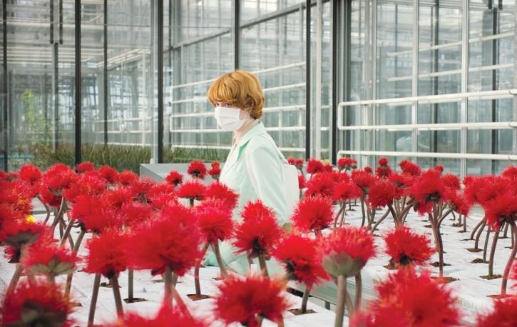 Die Hauptfigur Alice inmitten ihrer Zucht von Little Joe. (Foto: © COOP99, The Bureau, Essential Films) Die Hauptfigur Alice inmitten ihrer Zucht von Little Joe. (Foto: © COOP99, The Bureau, Essential Films)
