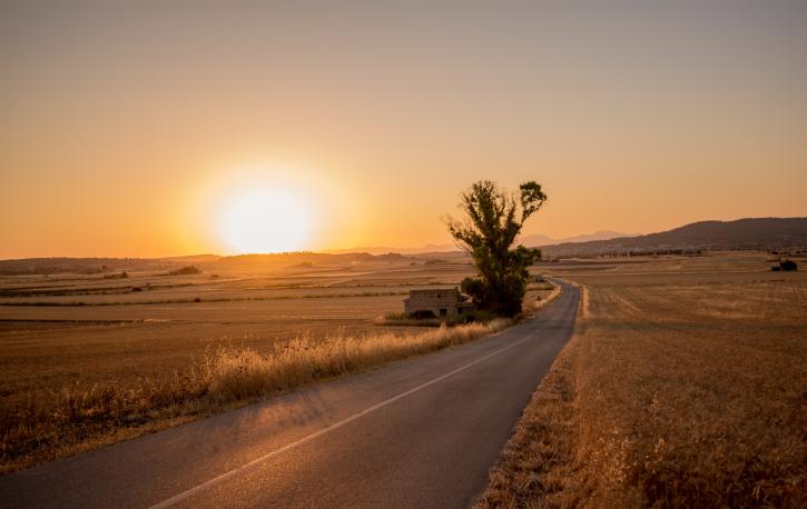 Neue Wege zu gehen erfordert Mut, eröffnet aber auch neue Möglichkeiten. (Foto: Stefan Kunze - Unsplash.com)