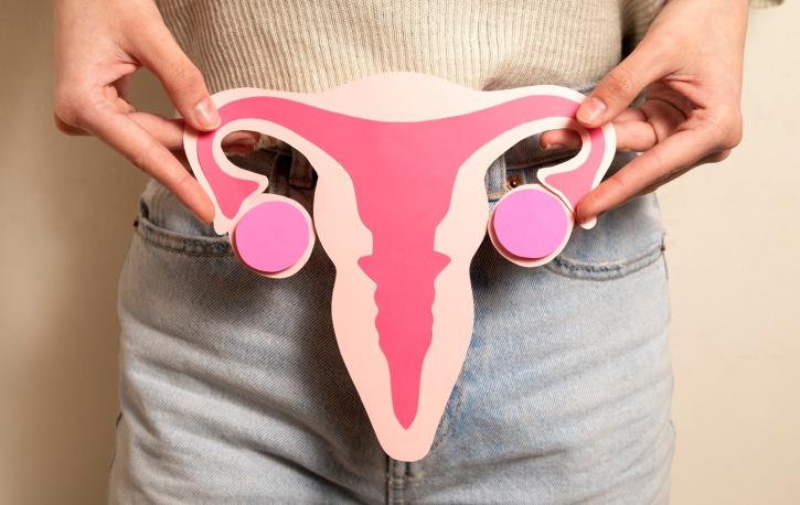 Man sieht eine Darstellung der Vagina und Eierstöcke auf Pappe, die sich eine Frau vor den Unterleib hält.