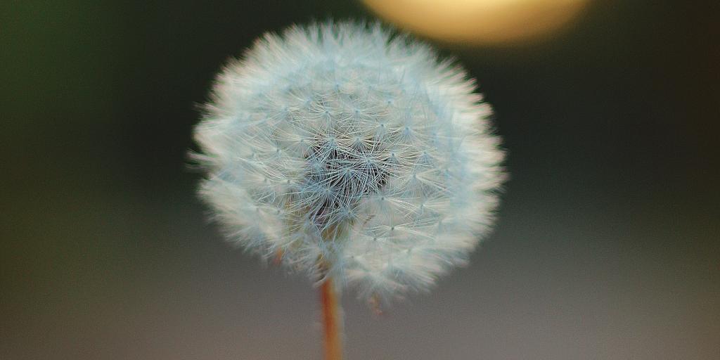 Funf Elemente Zirkel Achtsamkeit Konzentration Psylife