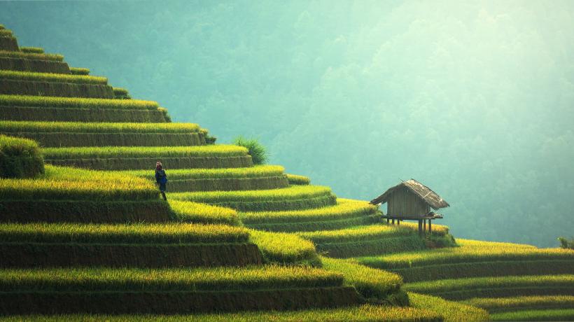 Kambodscha ist vielseitig und hält für Reisende eine Menge Abenteuer bereit. (Foto: Pixabay.com)