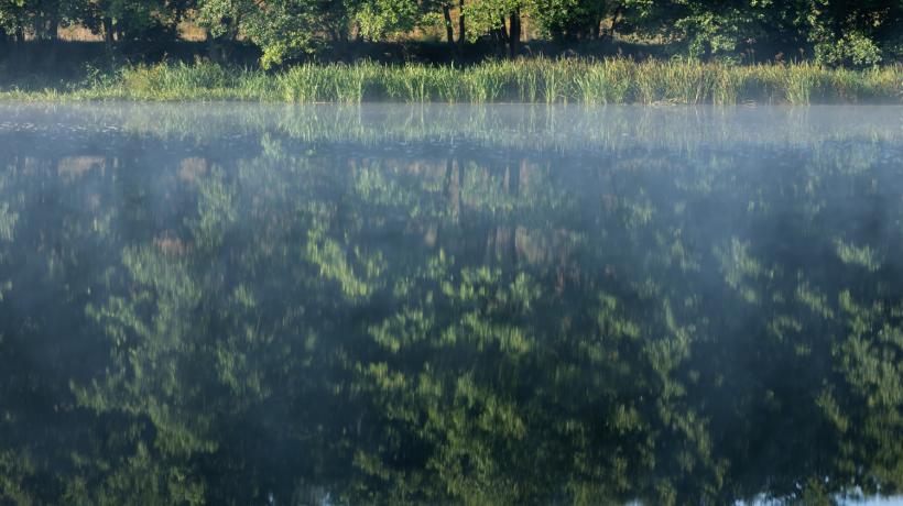 Ein großer See, in dem sich die Bäume am Ufer spiegeln.