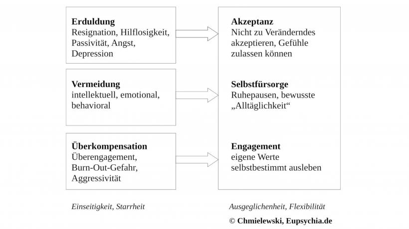 Schaubild zu adaptiven Reaktionsmöglichkeiten