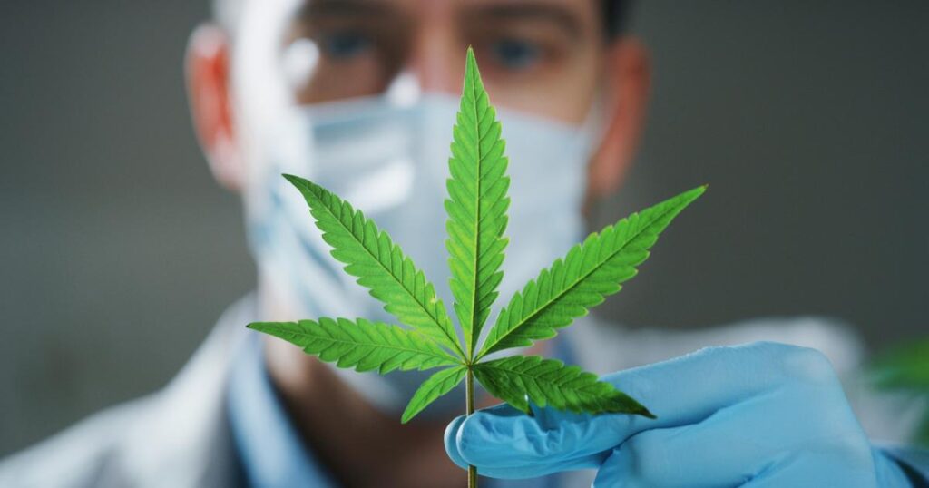 Medizinisches Cannabis – neue Hoffnung für chronische Schmerzpatient:innen
