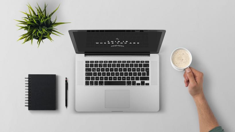 Laptop, Notizbuch, Stift, Pflanze, Tasse