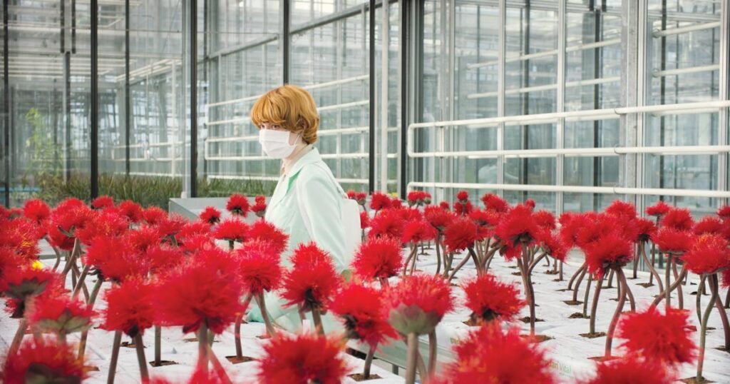 Filmtipp: Little Joe
