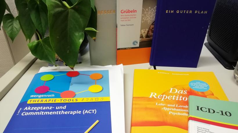 Ein Foto der im Artikel vorgestellten Bücher, die auf einem Tisch angeordnet sind.