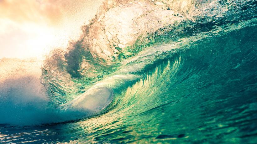Eine große Welle im Sonnenlicht.