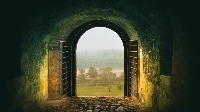 Blick aus einem dunklen Tunnel ins Grüne.
