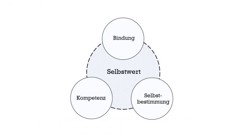 Abbildung 2: Grundbedürfnisse