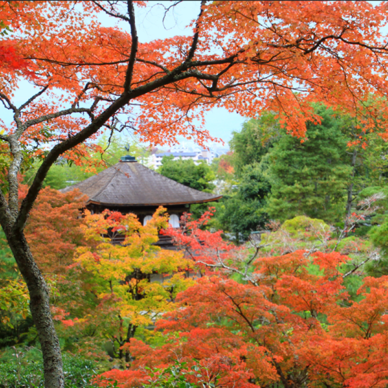 Japan – Psychologie und Psychotherapie im Reich der aufgehenden Sonne
